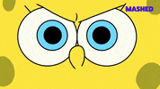 Angry Spongebob Squarepants GIF by Mashed
