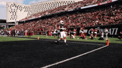 Cincinnati Football GIF by Cincinnati Bearcats