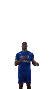 Sport Celebration Sticker by ROC Aveyron Handball