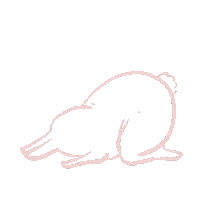 Tired Rabbit Sticker