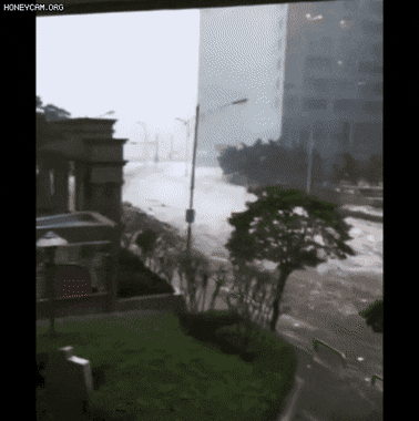 qwerpoiu22ppop giphyupload GIF