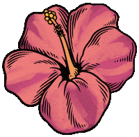 Summer Flower Sticker by Decorating Outlet