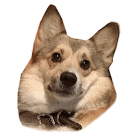 Dog Love Sticker by Annbells