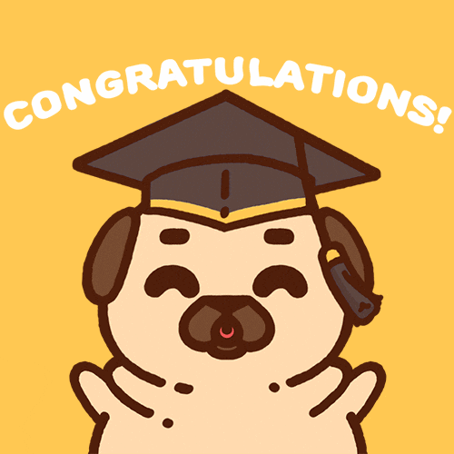 GIF by Puglie Pug