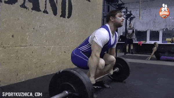 bodybuilding-and-fitness giphyupload tolchok GIF