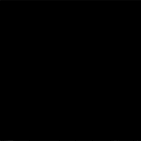 Shine GIF by Chippy the Dog