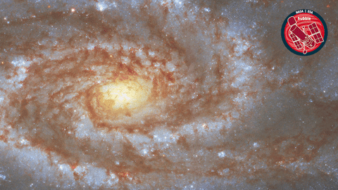 Stars Universe GIF by ESA/Hubble Space Telescope