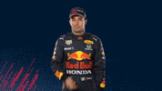 Red Bull Sport GIF by Oracle Red Bull Racing