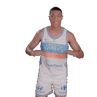 Sharksantibes Sticker by Antibes Sharks