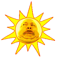 summer sun STICKER