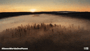 GIF by Channel 9