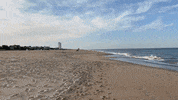 VisitVaBeach  GIF