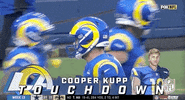 Football Sport GIF by NFL