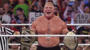 John Cena Wrestling GIF by WWE