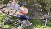 OaklandZoo animals books reading zoo GIF