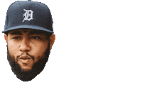 detroit tigers Sticker by MLB