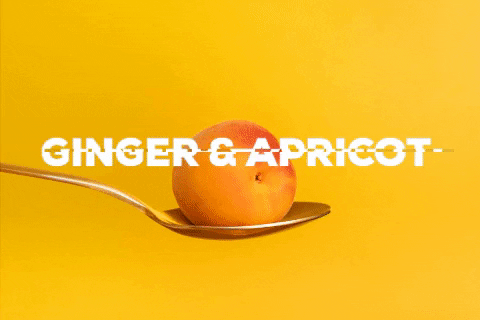 BELLSANDWHISTLES giphygifmaker GIF