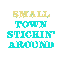 School Country Sticker by Toby Keith