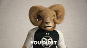 College Rams GIF by Colorado State University