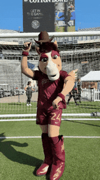 Dallas Dtfc GIF by Dallas-Trinity-FC