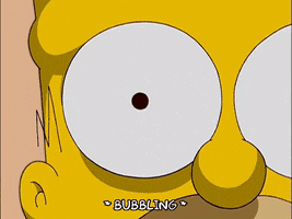homer simpson GIF