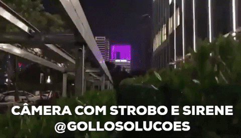 GolloSolucoes giphygifmaker GIF