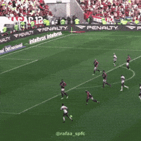 Sao Paulo Nestor GIF