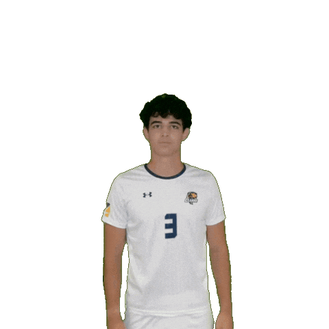 Clarke Mens Soccer Sticker by Clarke University