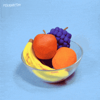 Stop Motion Fox GIF by Animation Domination High-Def