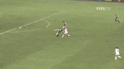 World Cup Football GIF by FIFA