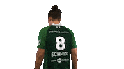 hsgwetzlar schmidt handball-bundesliga wetzlar hsg wetzlar Sticker