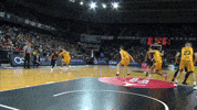Flying Liga Endesa GIF by ACB