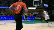 Flying Liga Endesa GIF by ACB