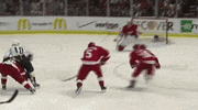 nhl GIF by SB Nation