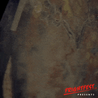 SignatureEntertainmentUK movie film movies wtf GIF