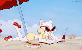 tom and jerry cat GIF