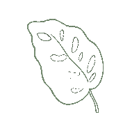 Plant Leaf Sticker