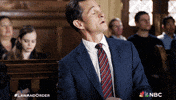 Season 5 Nbc GIF by Law & Order