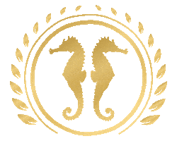 Kasematten seahorse sea horse seepferdchen kasematten Sticker