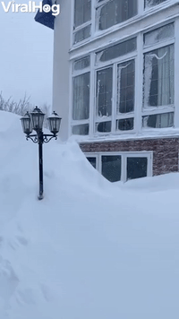 Man Leaps Into Giant Snow Pile