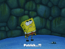 season 4 GIF by SpongeBob SquarePants