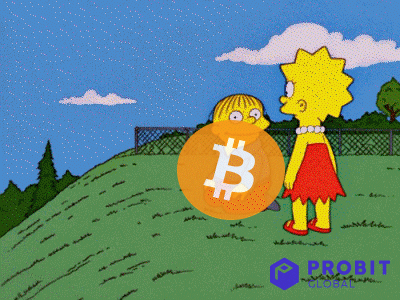 Crypto Simpsons GIF by ProBit Global