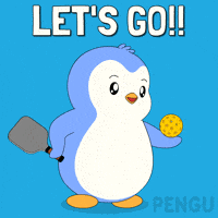 Lets Go GIF by Pudgy Penguins
