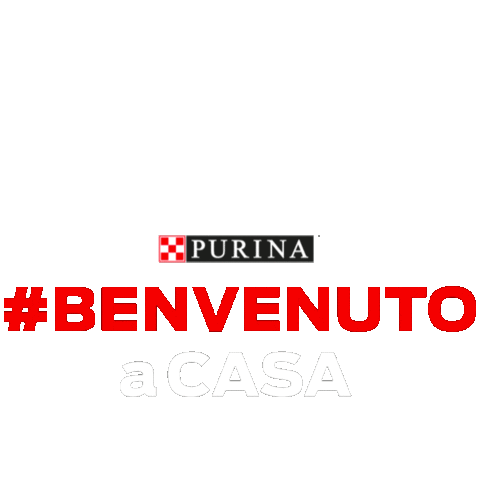 Pet Casa Sticker by Purina Italia