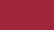 Charroslmb2025 GIF by Charros de Jalisco