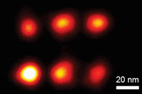 wyss wyssinstitute GIF