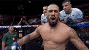 Mixed Martial Arts Sport GIF by UFC