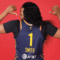Basketball Wnba GIF by Indiana Fever