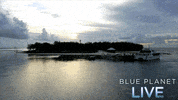bbc one oceans GIF by BBC
