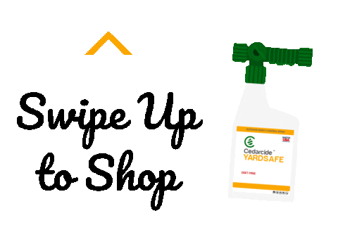 Swipe Up To Shop Sticker by Cedarcide